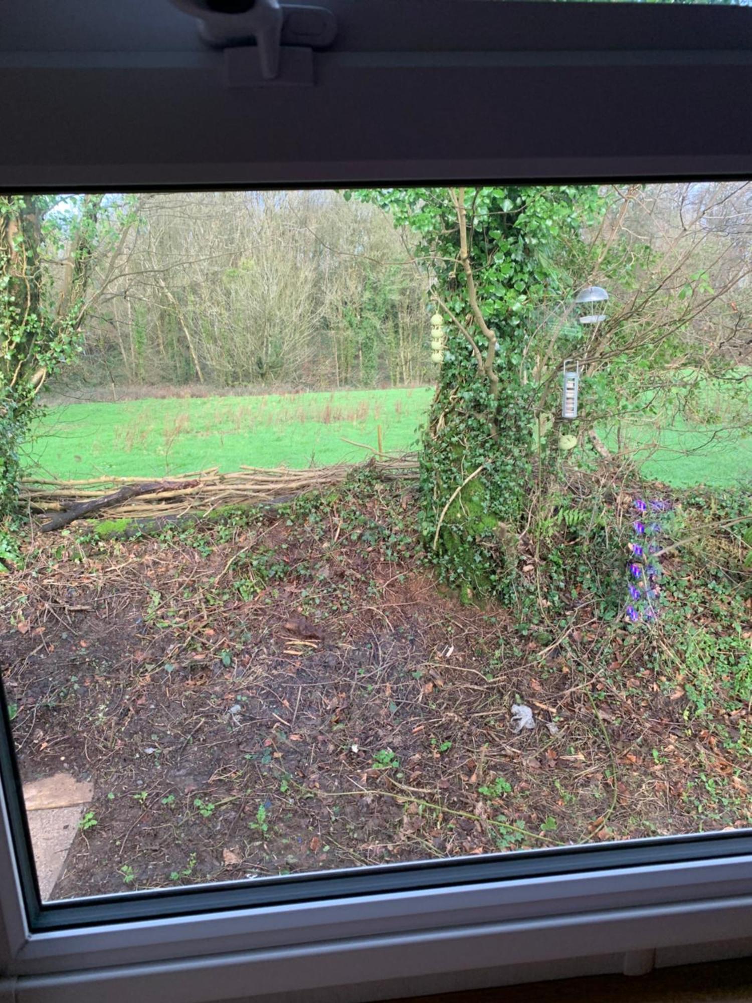 4 Devon Country, Bideford Bay Holiday Park Bucks Mills Εξωτερικό φωτογραφία