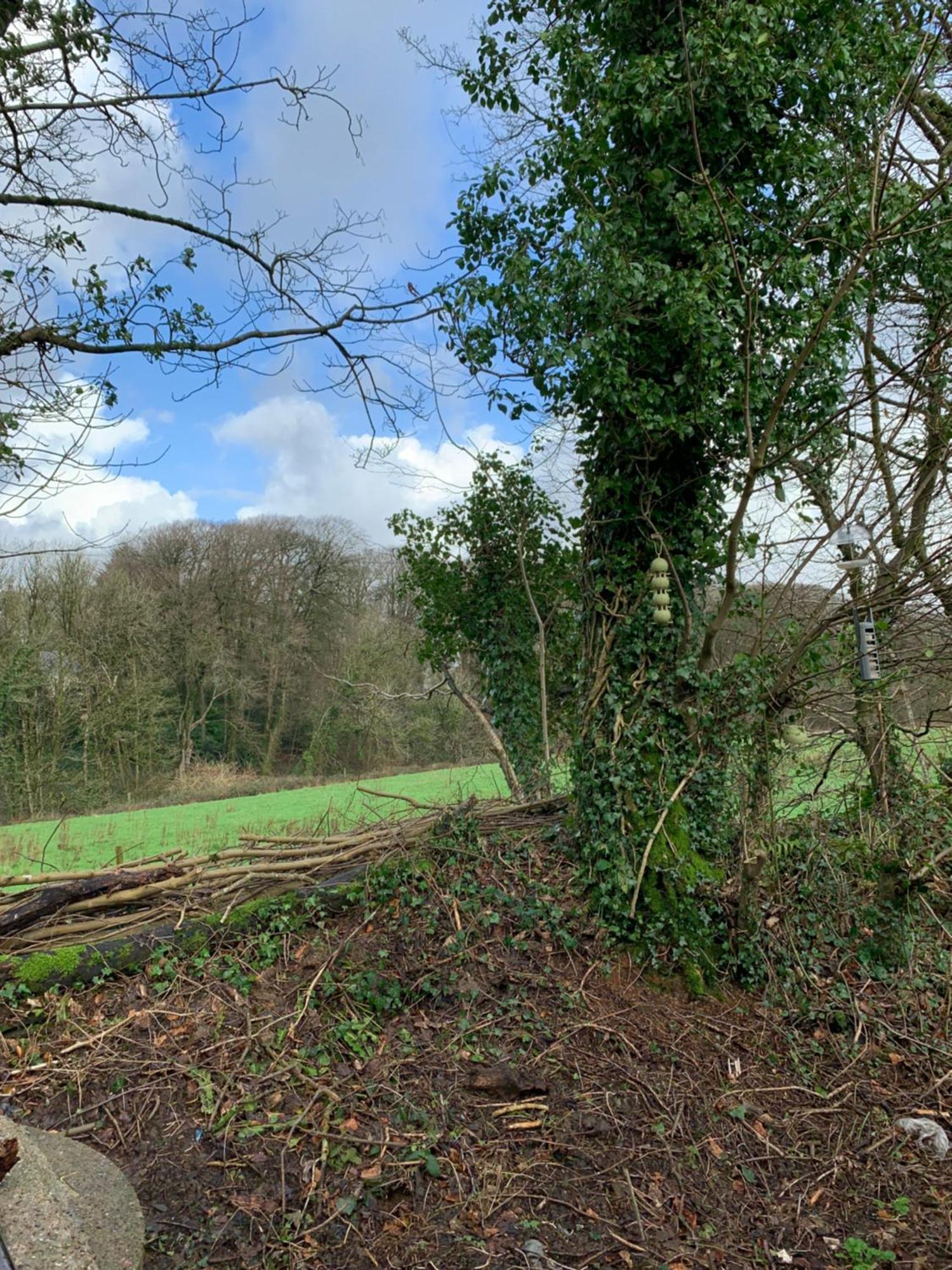 4 Devon Country, Bideford Bay Holiday Park Bucks Mills Εξωτερικό φωτογραφία